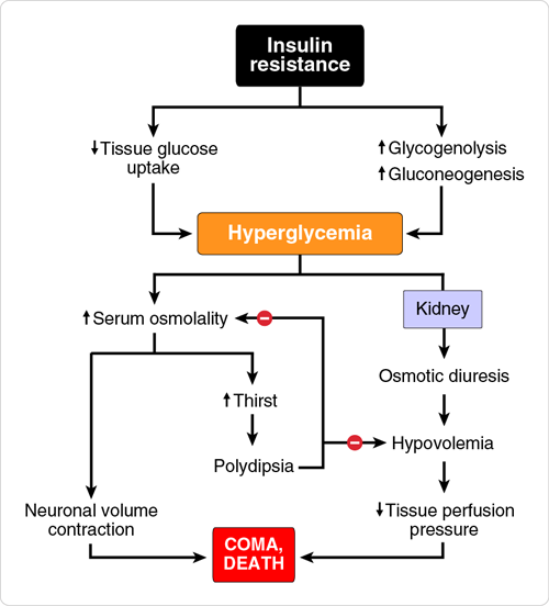 USMLE flow chart