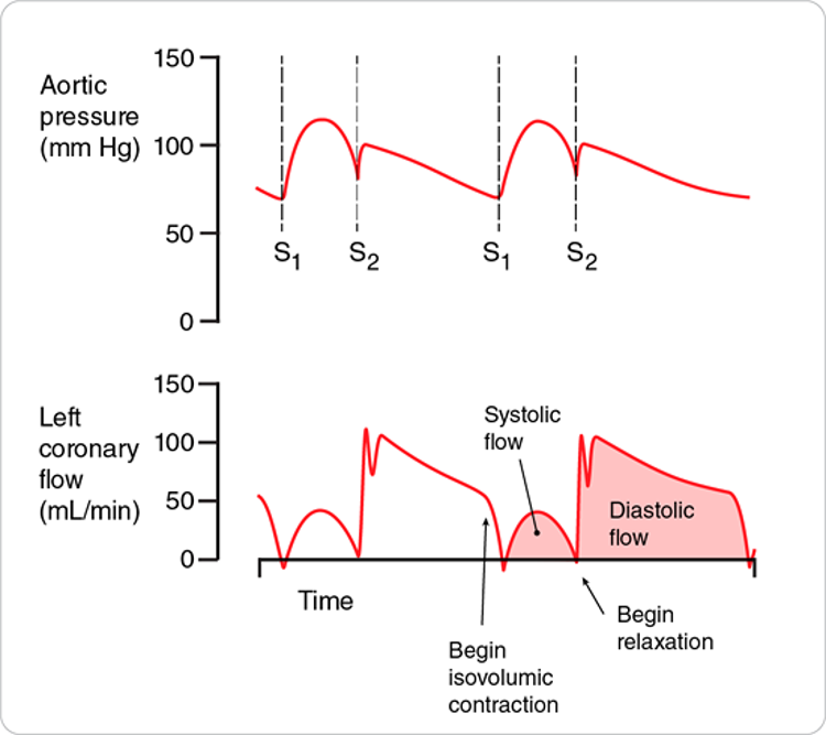 Aortic pressure profile 