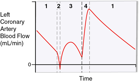 Ventrical diagram