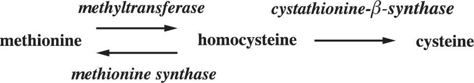 MCAT stumper image: Homocystinuria 