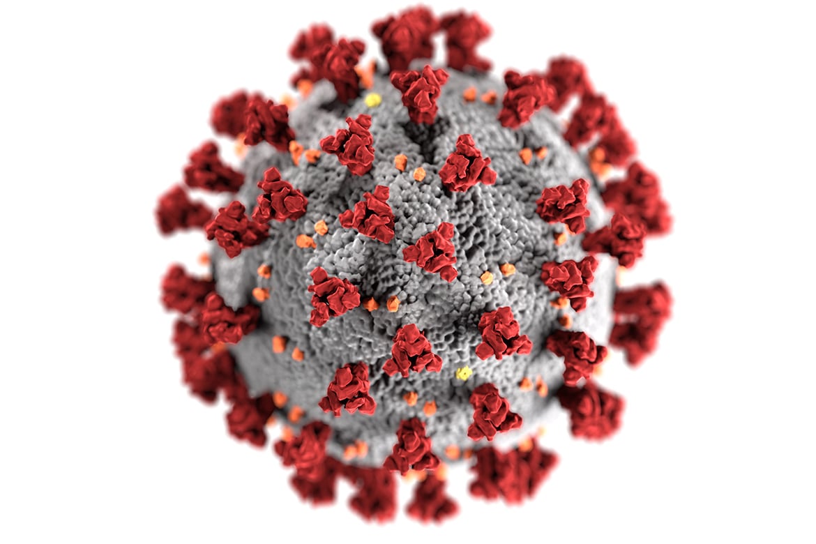 Ultrastructural morphology exhibited by coronaviruses