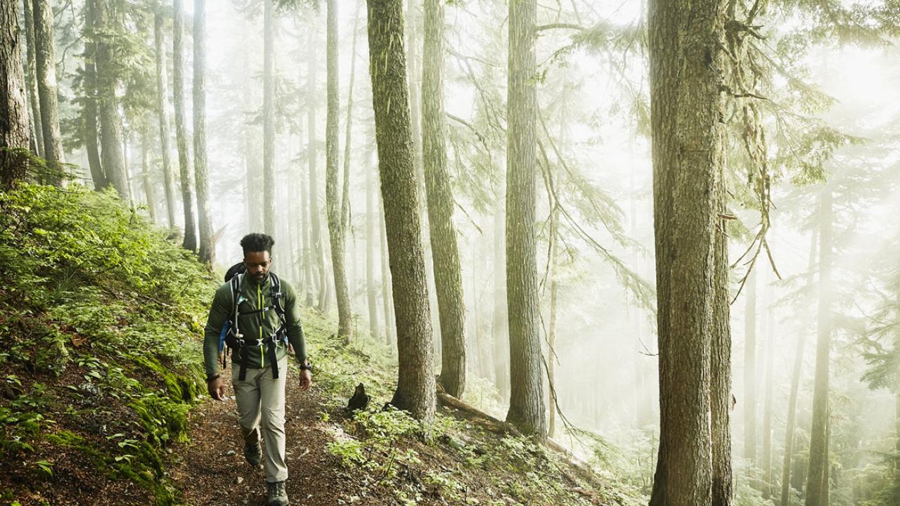 Person hiking the woods