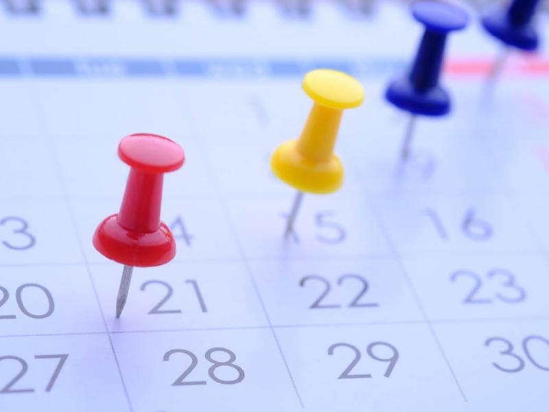 Calendar with push pins