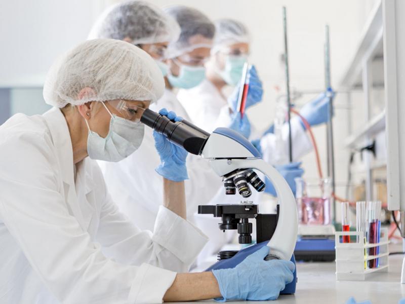 Scientists looking through microscopes