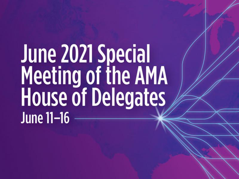 June 2021 Special Meeting of the House of Delegates