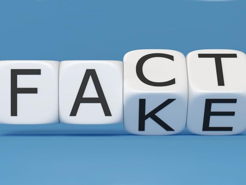 Blocks with the words fact and fake