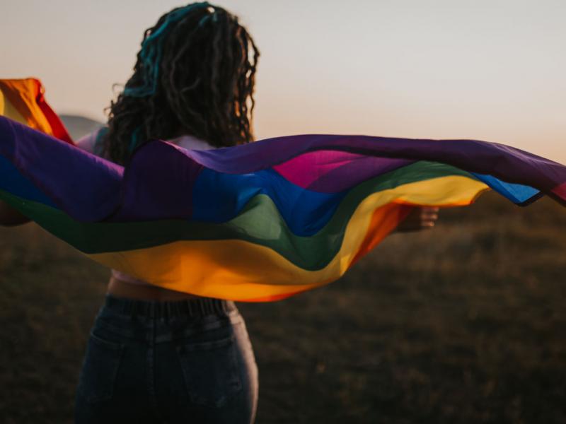 Person holding a pride flag