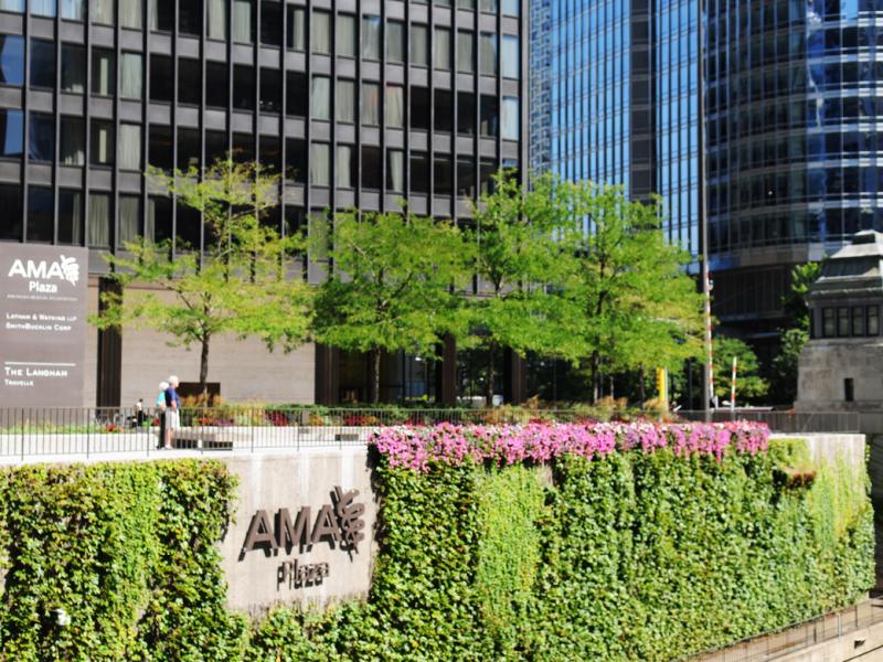 Exterior of AMA Plaza during spring/summer