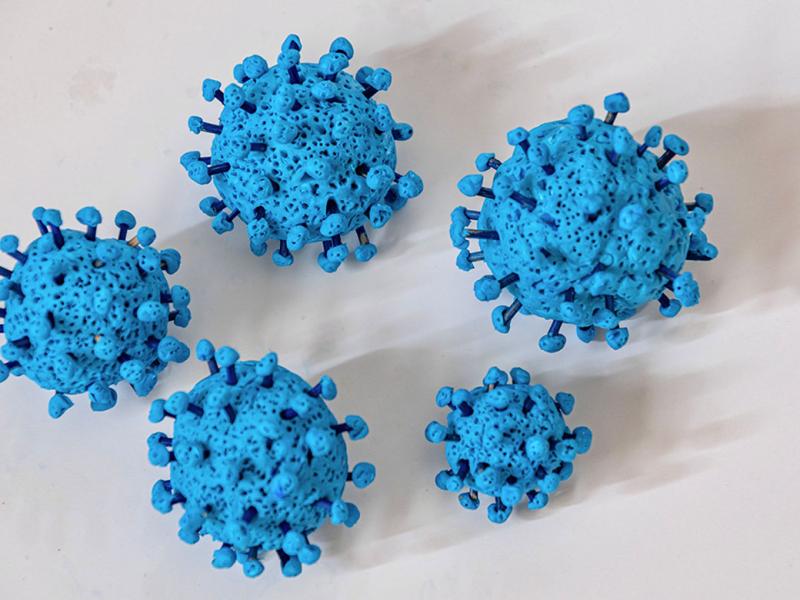 COVID-19 virus