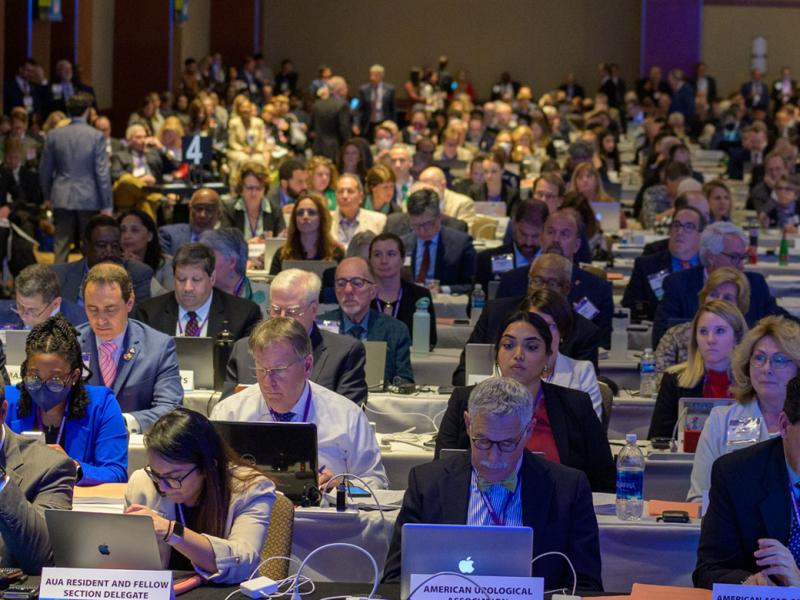 Delegates working at the 2023 Annual Meeting