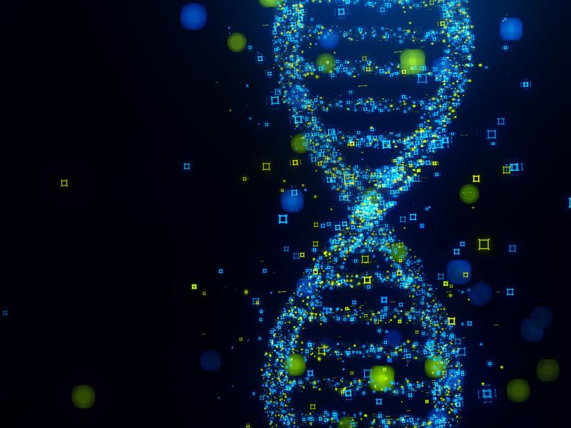  DNA made out of data