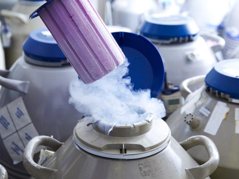 Egg storage for in vitro fertilization