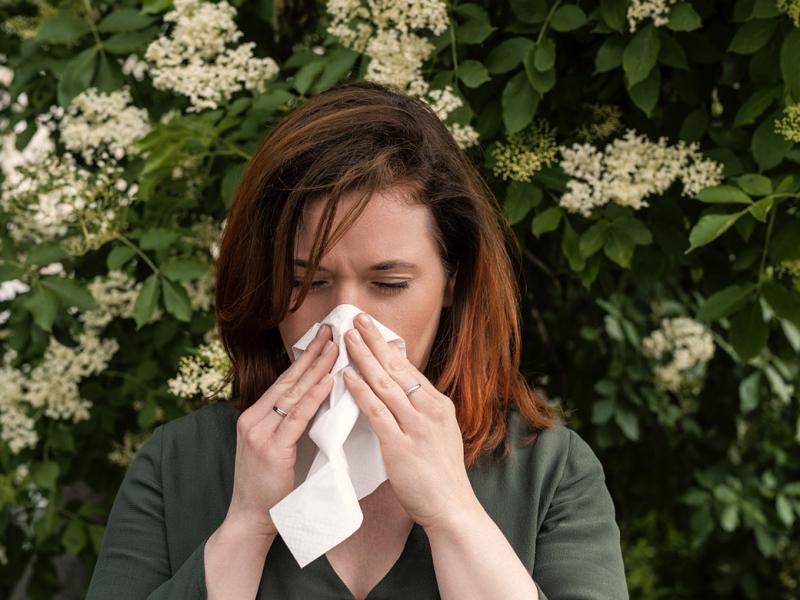Person sneezes into a handkerchief