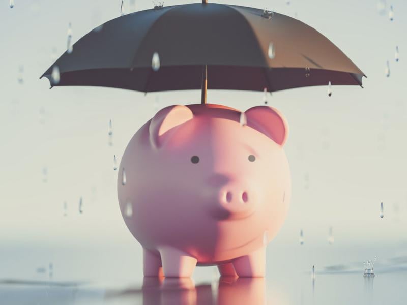 Piggy bank under umbrella