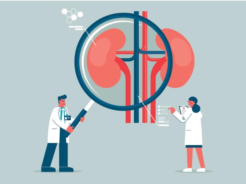 Giant magnifying glass over human kidneys