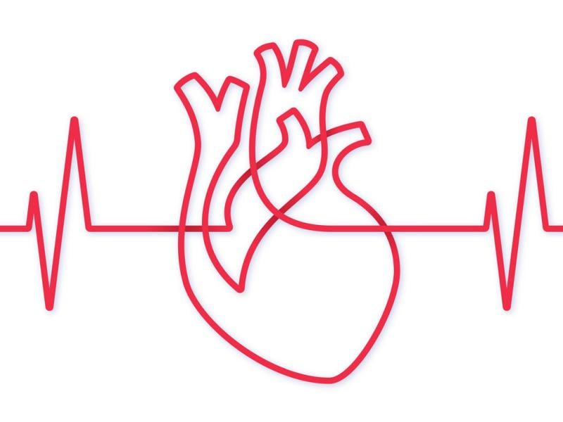 Outline of a human heart
