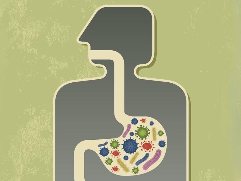 Multicolored bacteria in stomach