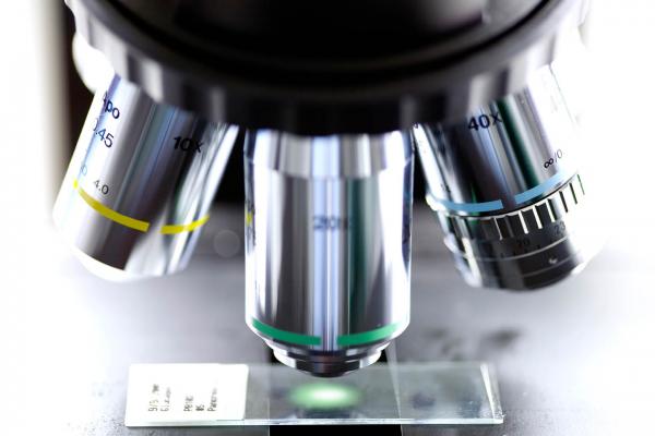 A slide under a microscope