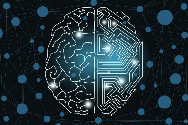 Outline of a human brain