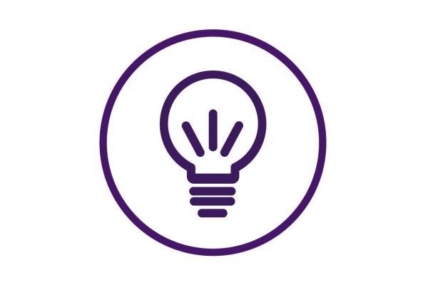 Lightbulb icon-Health systems program innovation