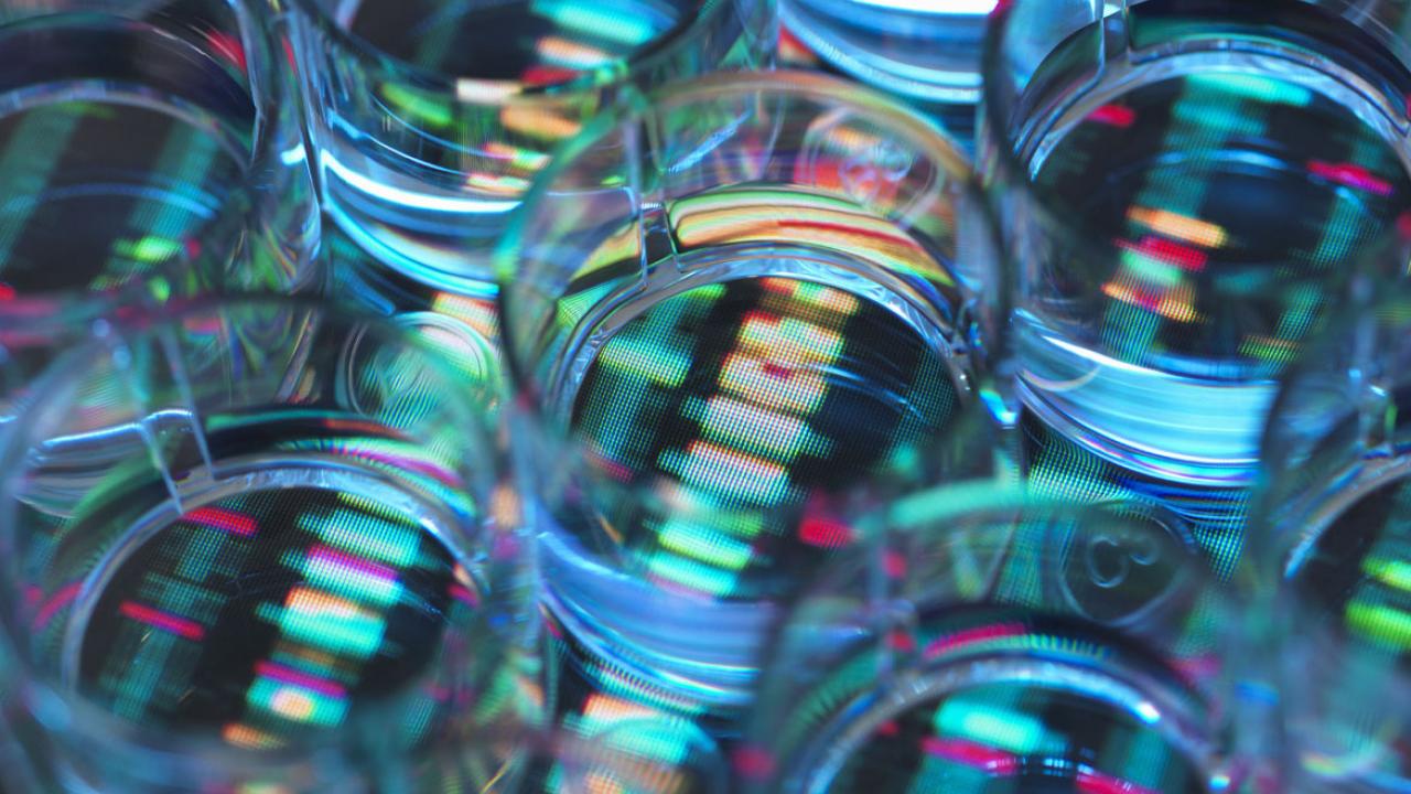Pioneer on rare genetic disease research among 5 honored by AMA - Vimarsana News