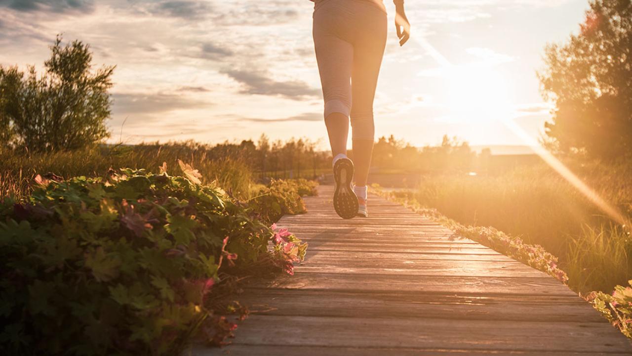 How Virginia's getting rid of obstacles to physician well-being | American Medical Association - Vimarsana News