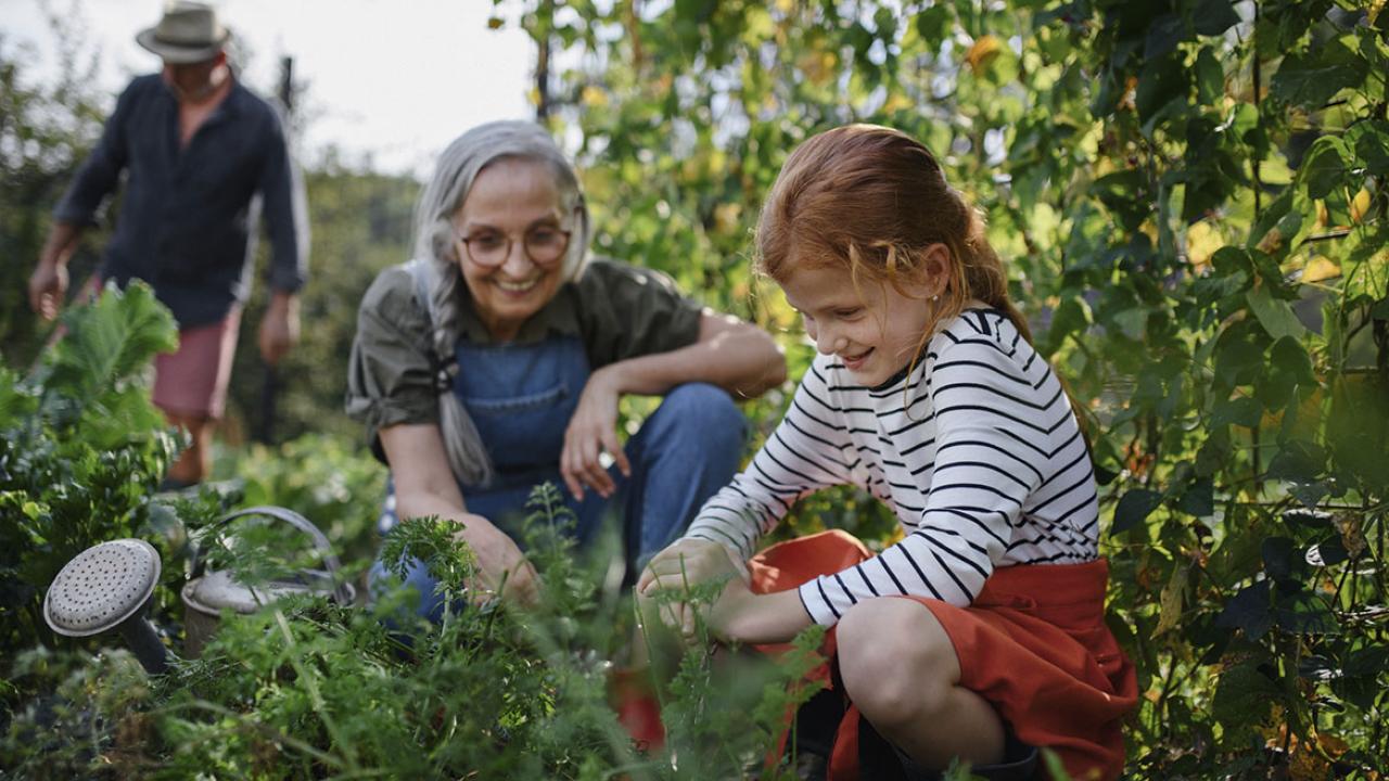Heath Rural Improving health in rural areas is within our collective reach ...