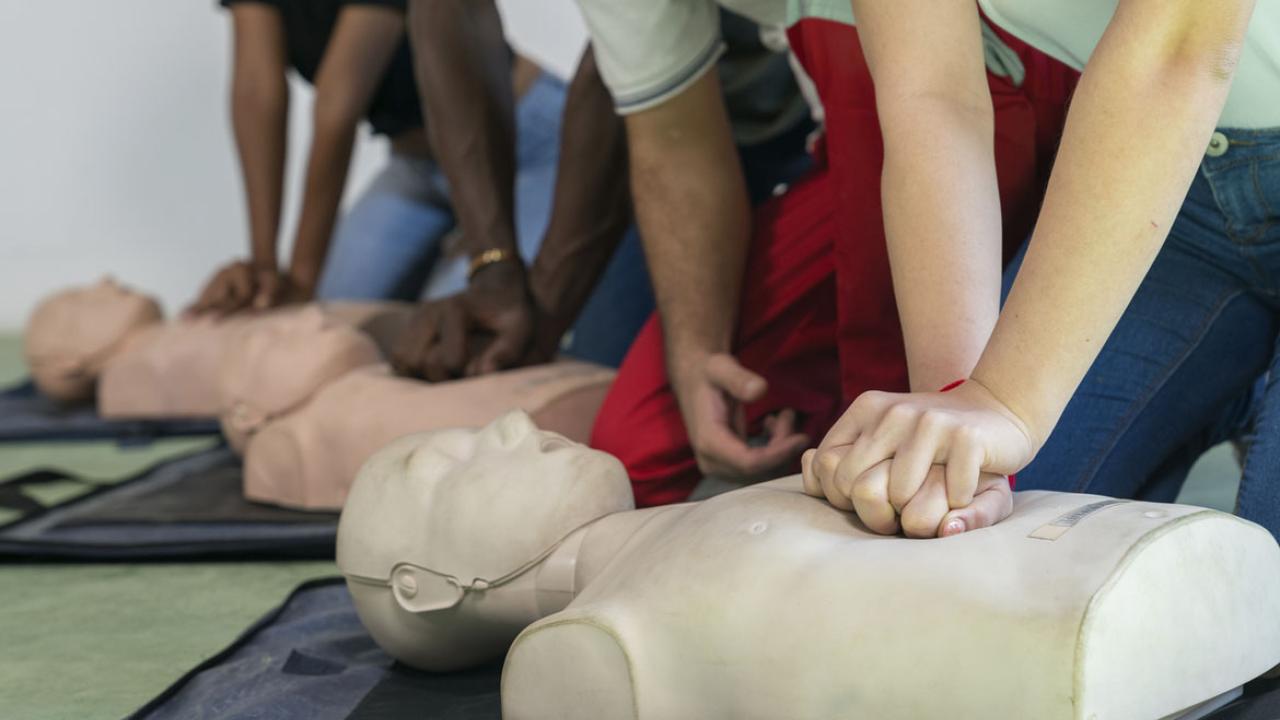 How 2 Rush medical students built a lifesaving training program