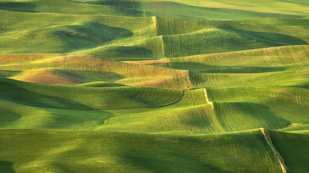 Solutions-focused thinking is needed to close rural health gaps