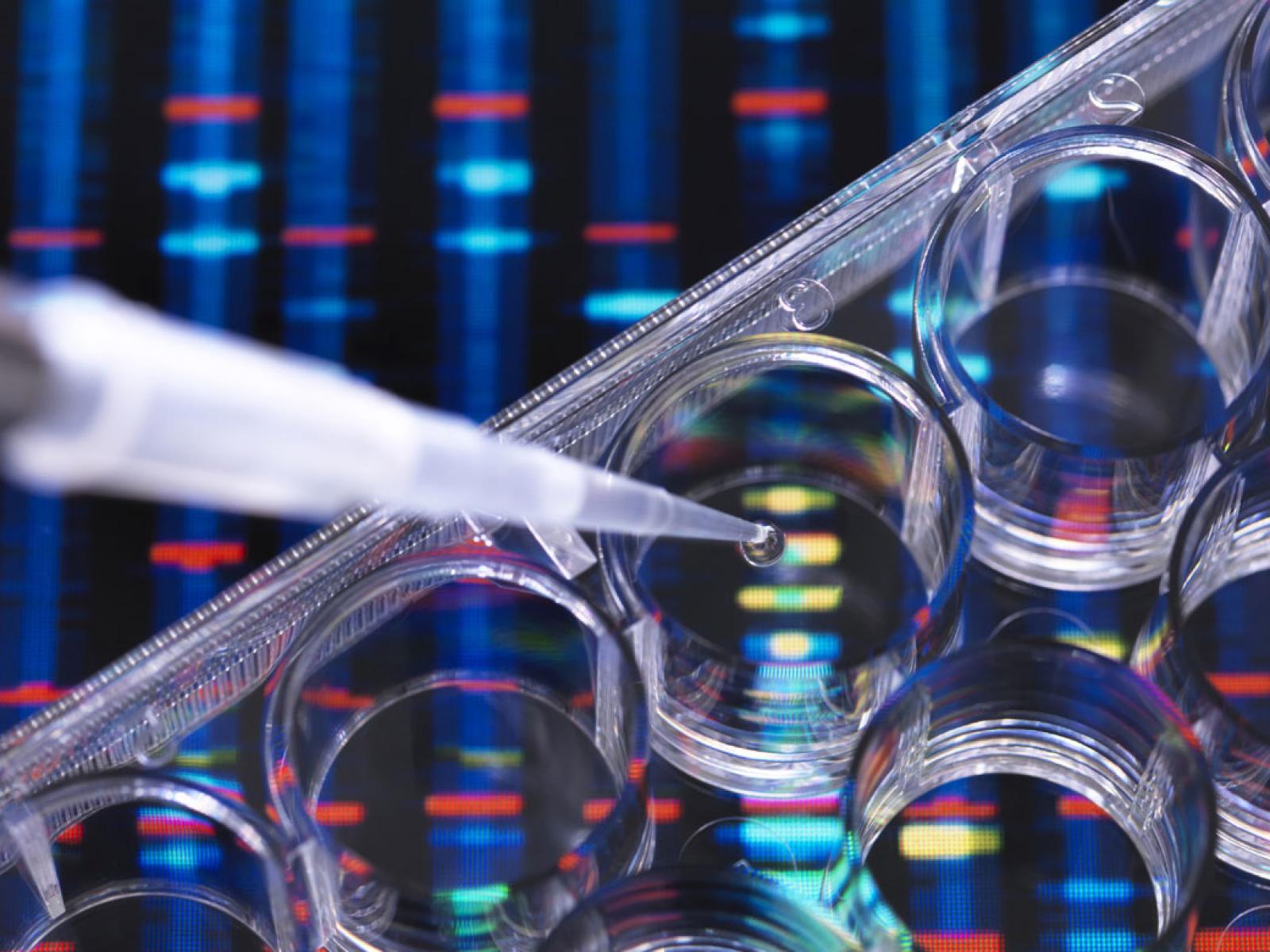Pipetting sample into multi well plate 