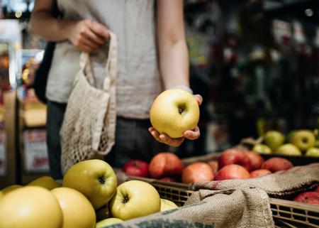 Close-up of a person's torso as they're holding a yellow apple, standing behind bins of yellow and red and yellow apples.