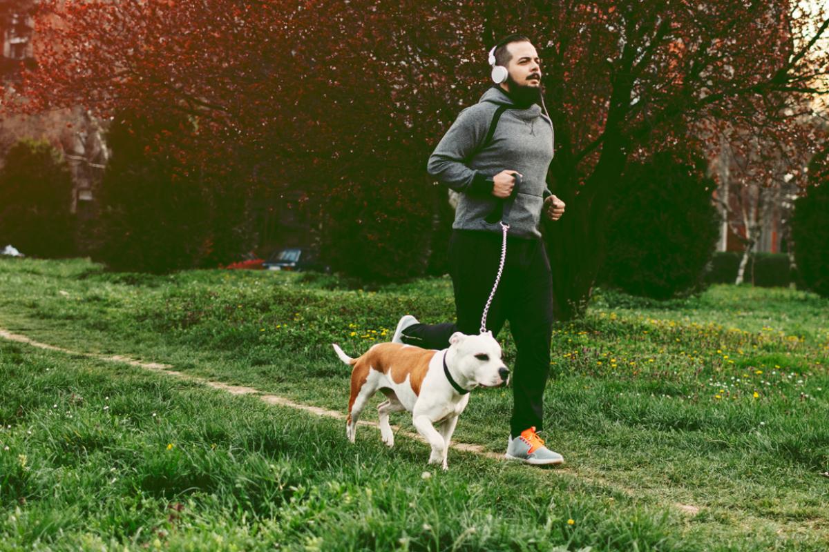 Hypertension guideline