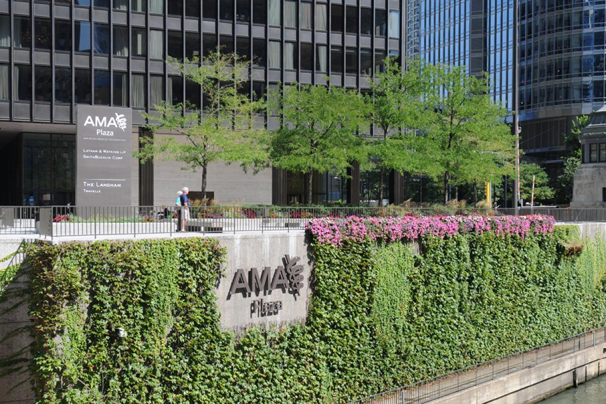 AMA in downtown Chicago