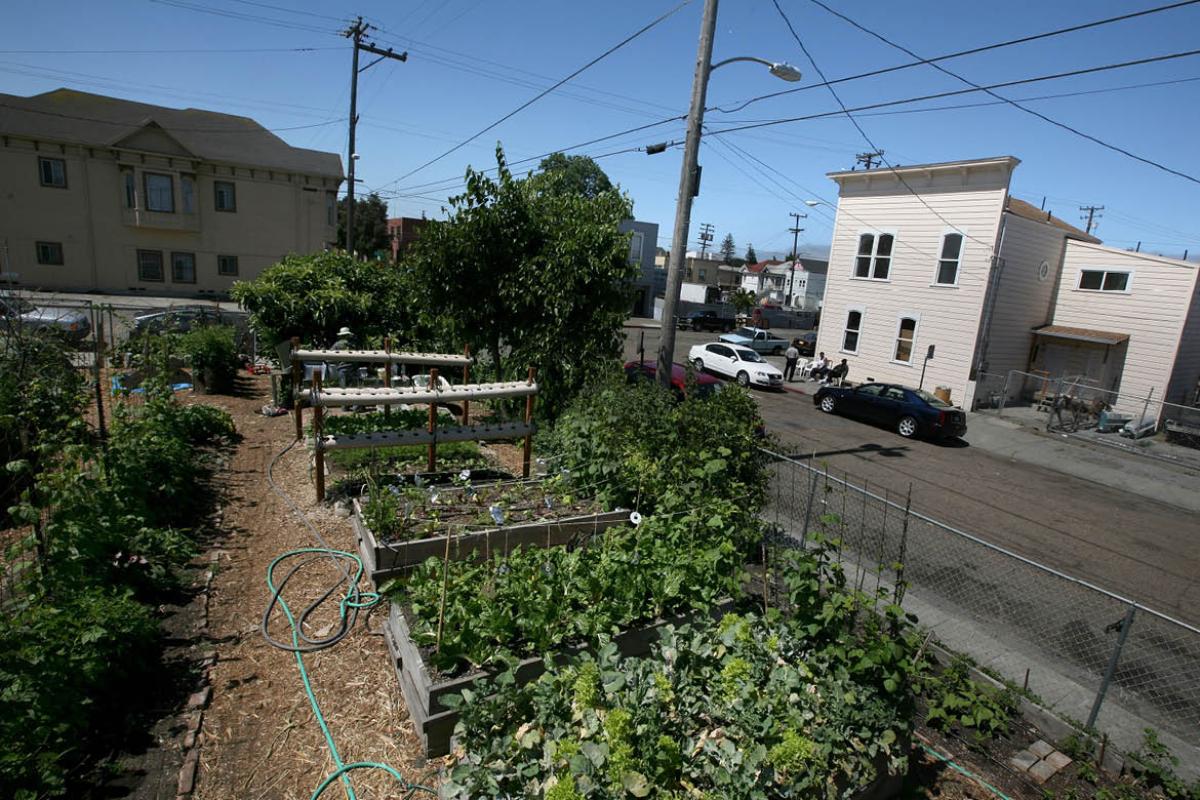 A city block with an urban garden in the foreground.