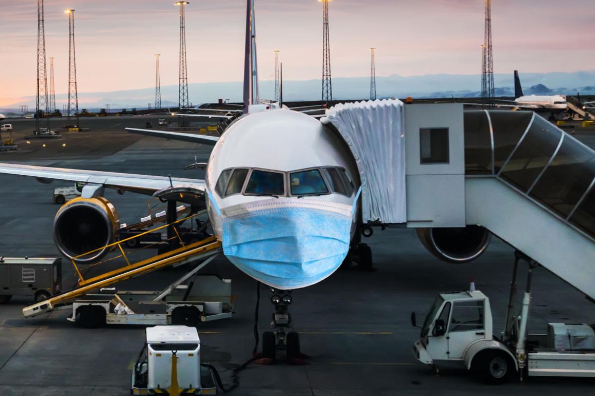 Plan with a face mask