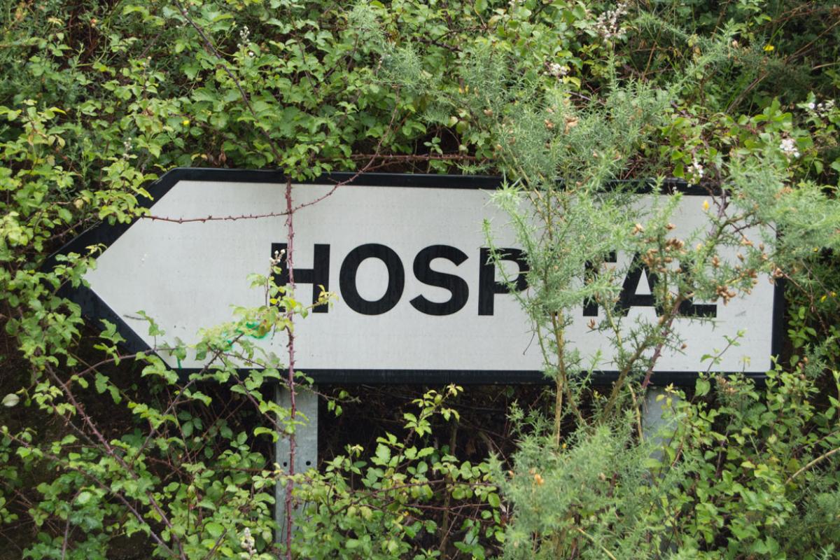 A white arrow sign set amongst trees with the text "hospital" pointing to the left.