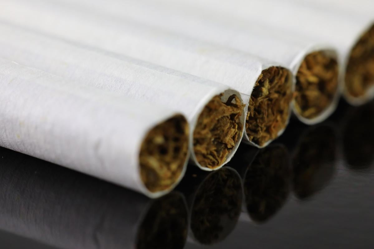 Tight shot of row of cigarettes.