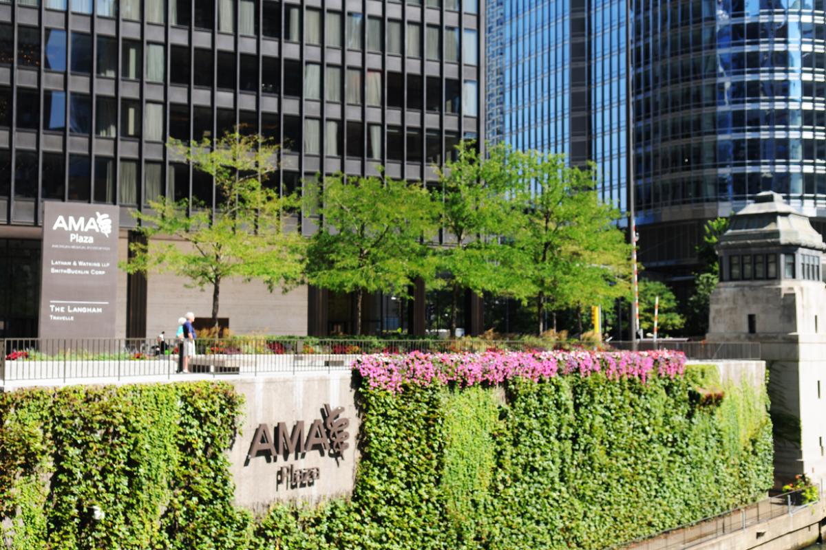 Exterior of AMA Plaza during spring/summer