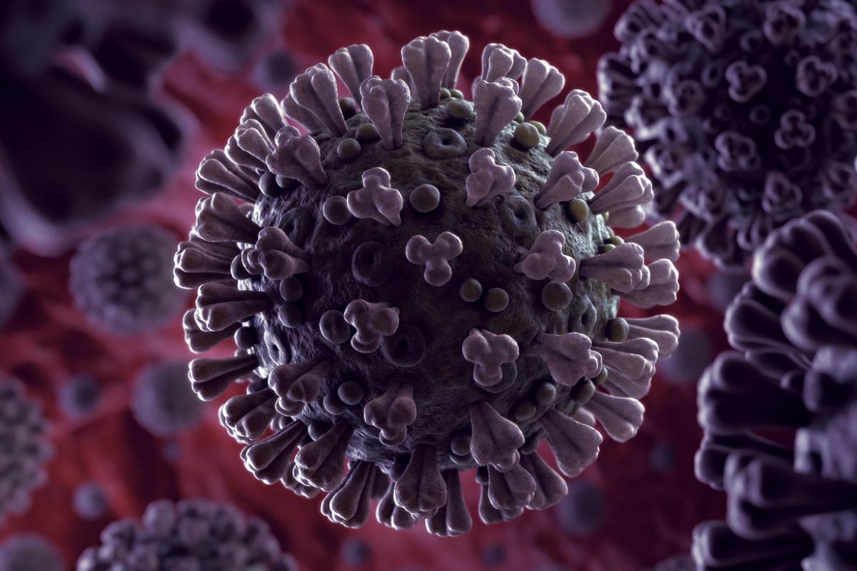 Close up of a Coronavirus