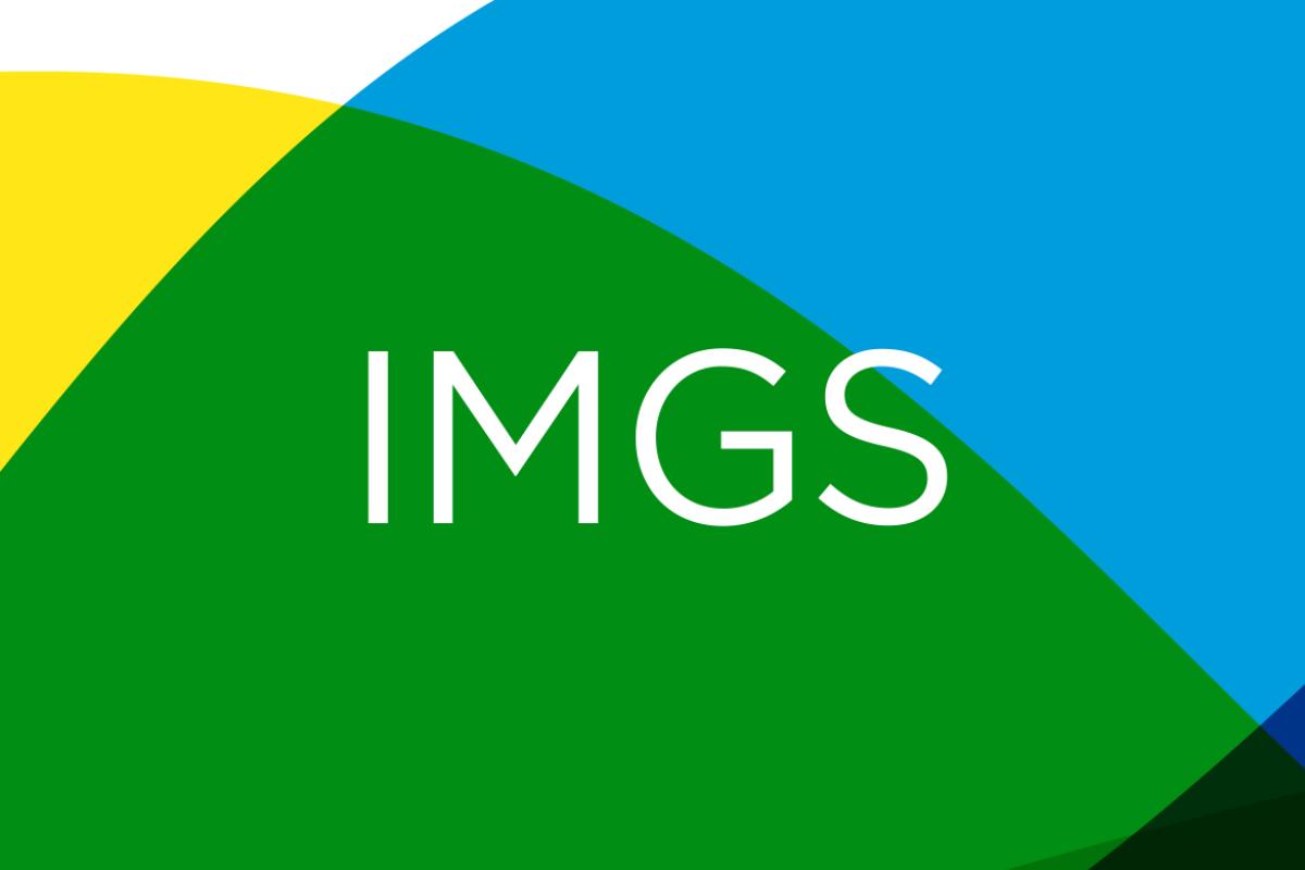 June 2022 IMGS Section Meeting