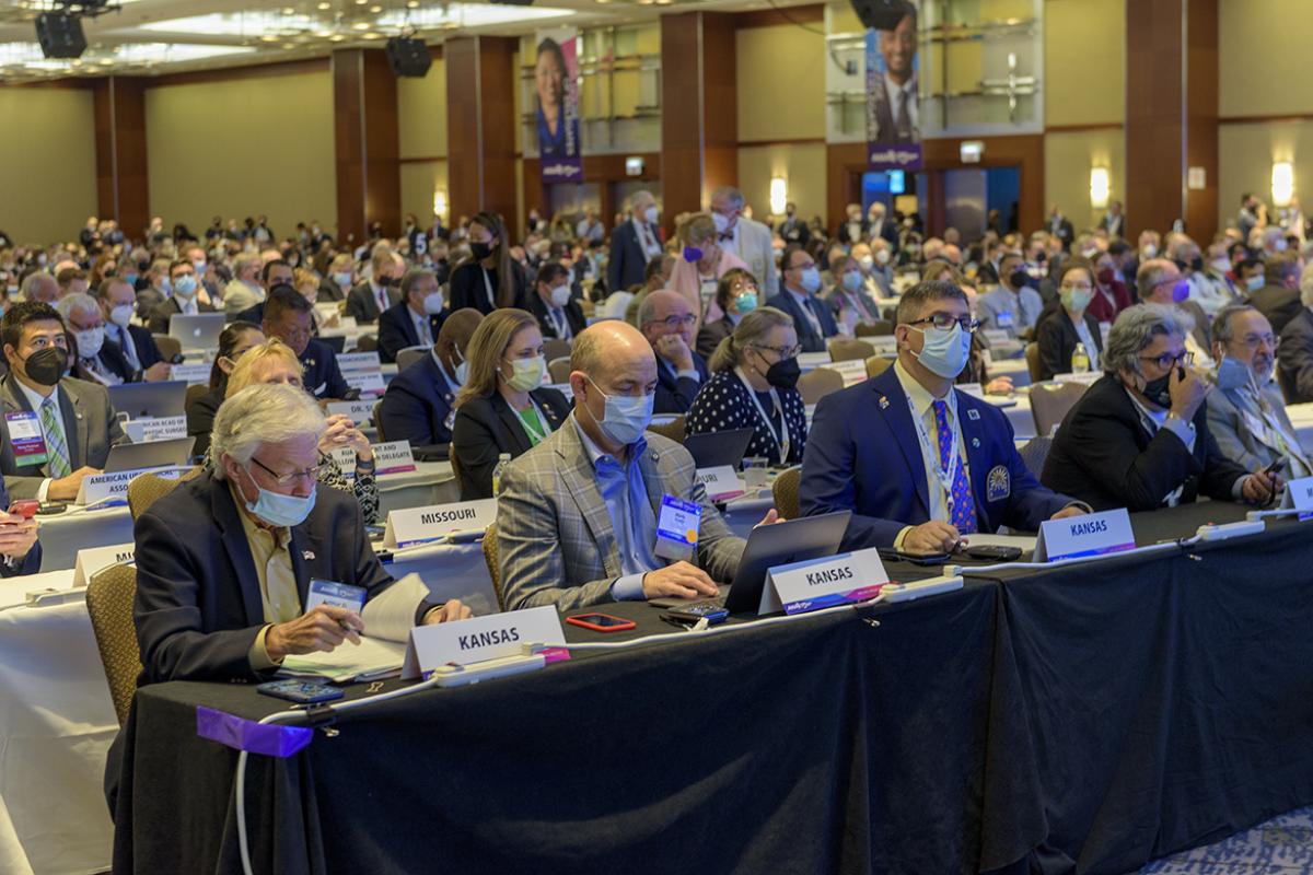 2022 Meeting of the AMA House of Delegates