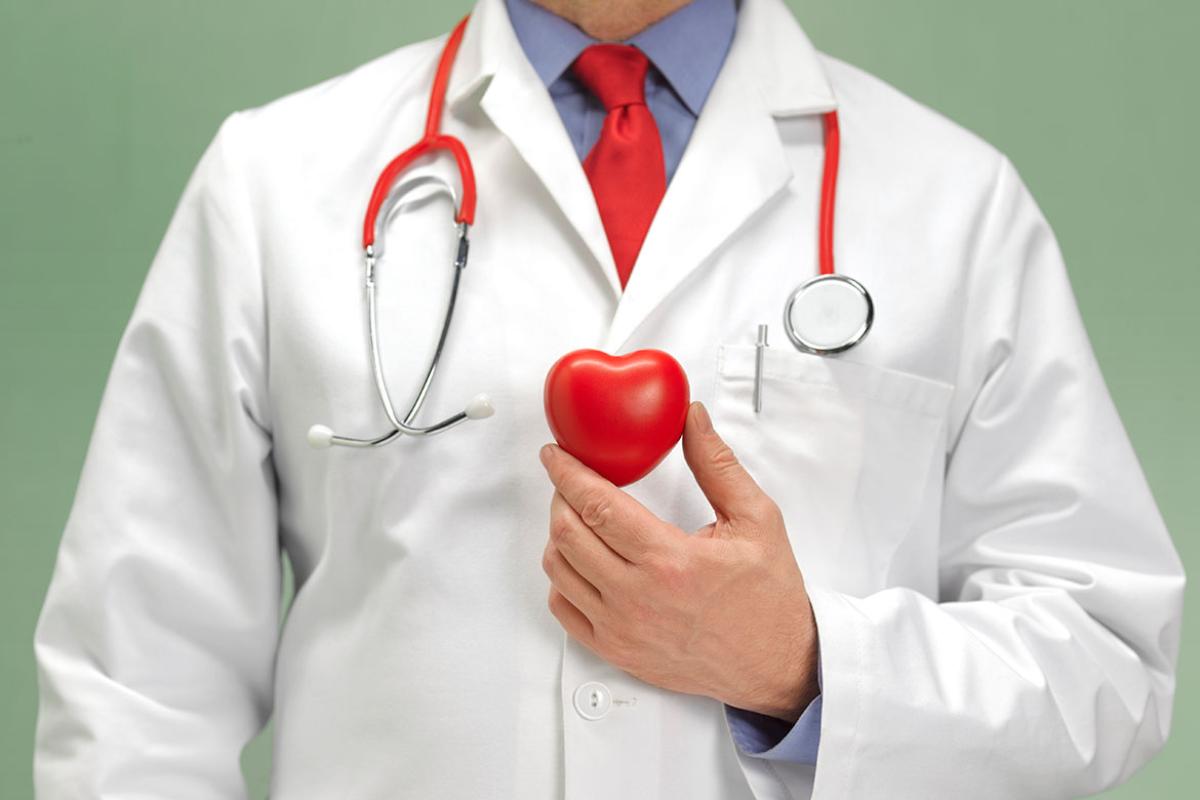 Physician holding an object in the shape of a heart