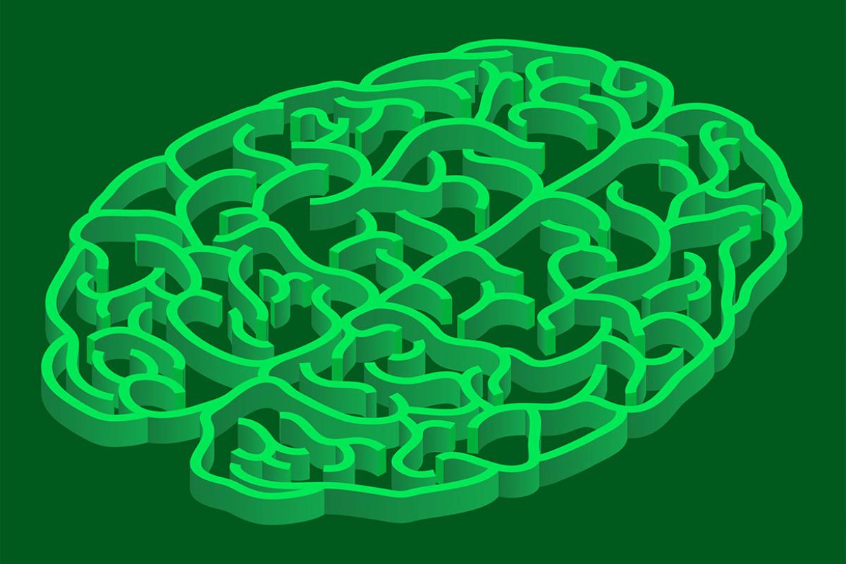 Labyrinth brain