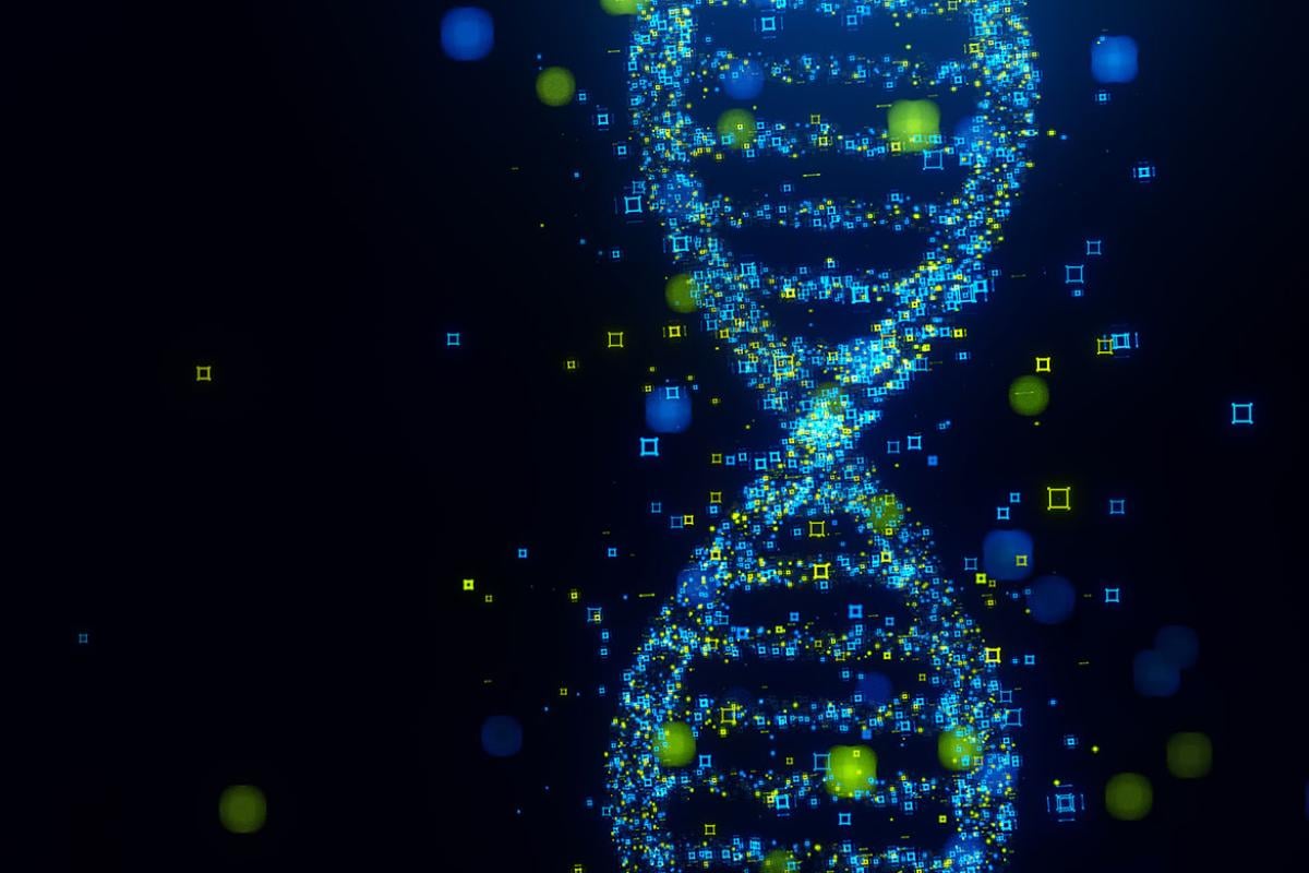  DNA made out of data