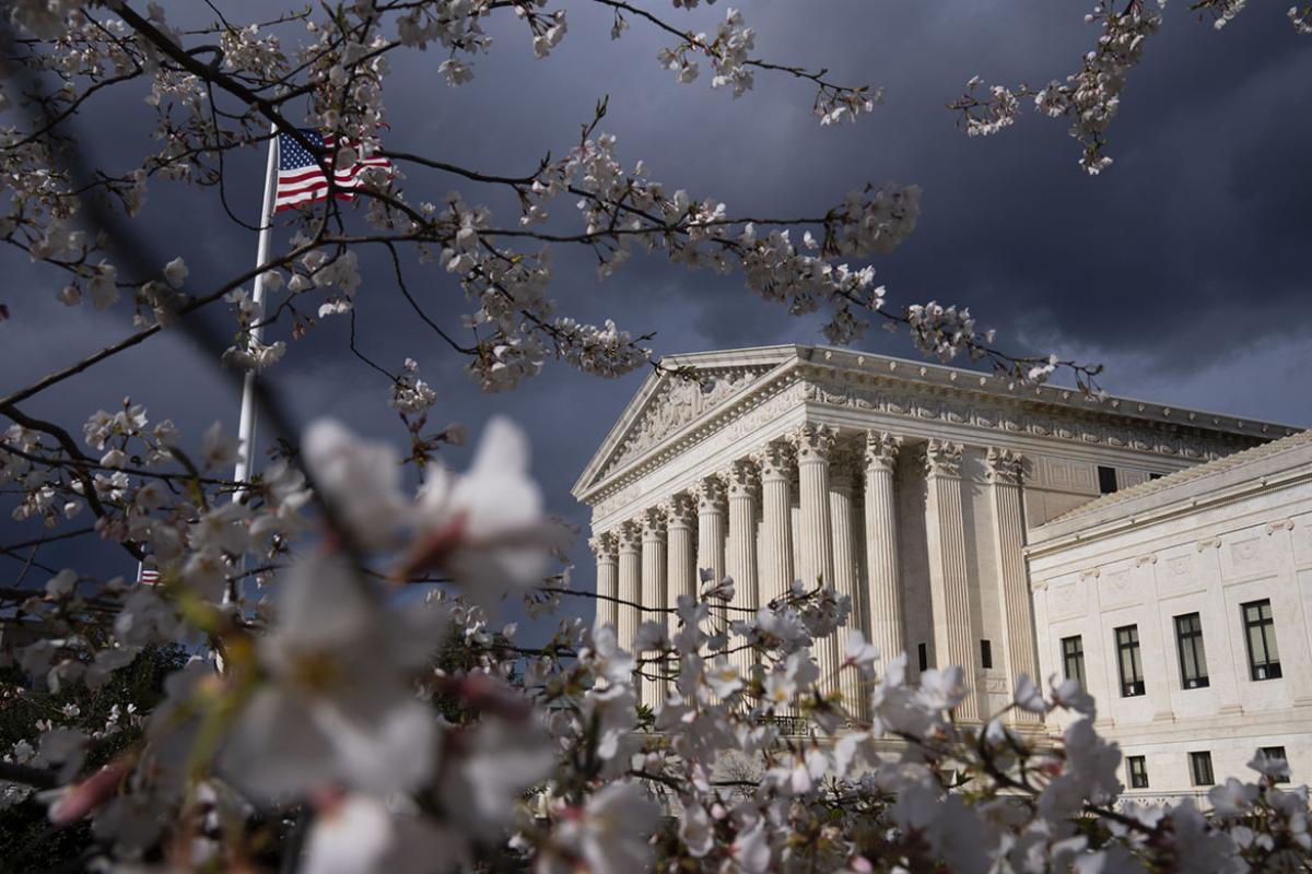 A cherry tree in bloom near the U.S. Supreme Court 