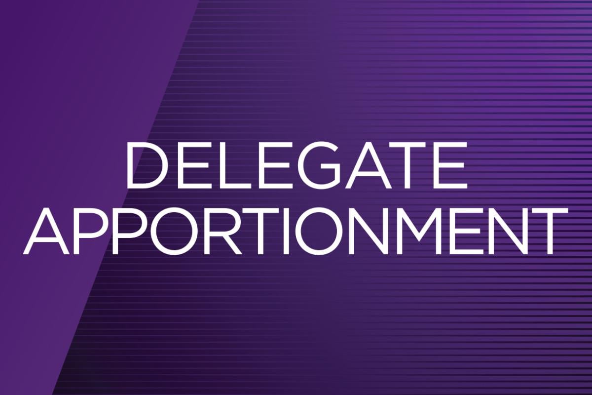 Delegate apportionment