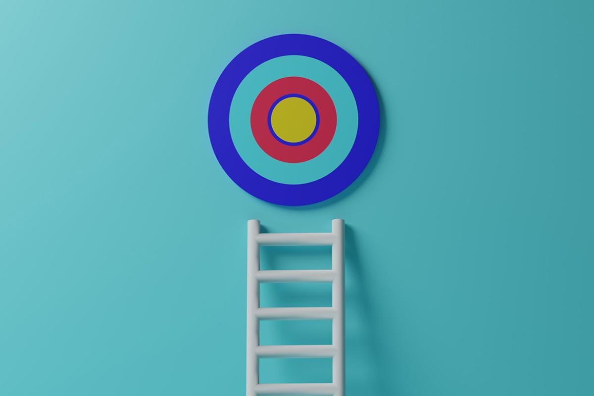 Step ladder and goals target