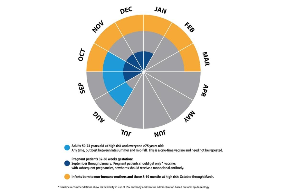 RSV immunization infographic