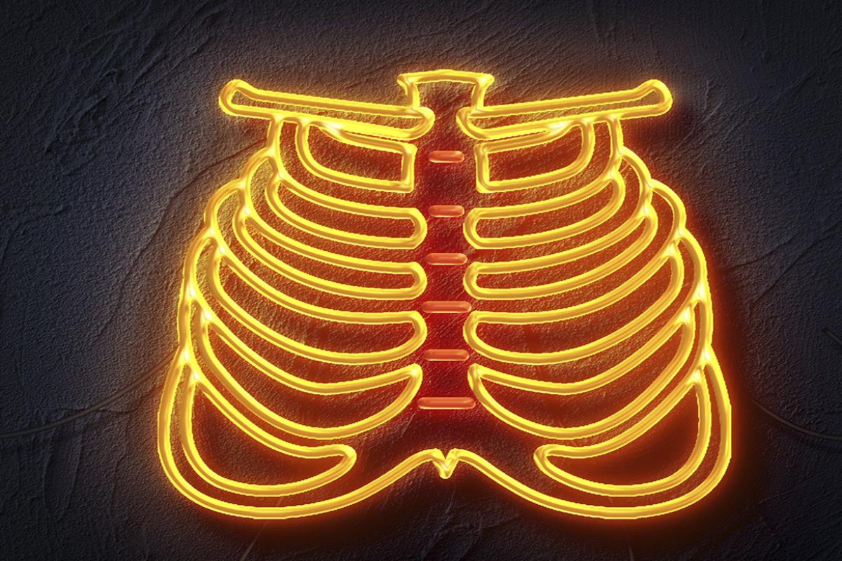 Human body rib cage