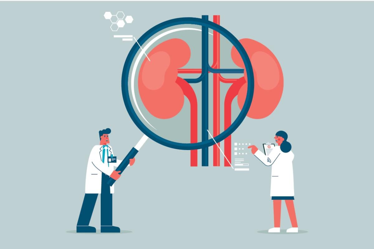 Giant magnifying glass over human kidneys